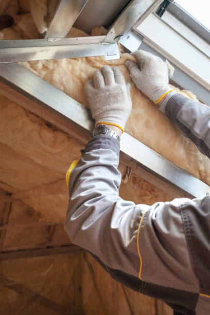 Best Specialized Insulation Services in Diand, MO